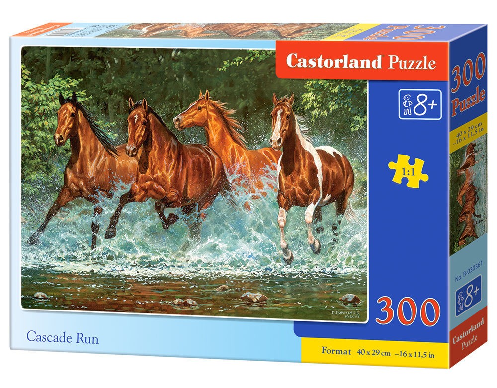  Castorland Cascade Run, Puzzle 300 Teiles - - Puzzle