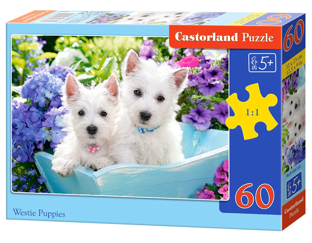  Castorland Westie Puppies, Puzzle 60 pièces - - Puzzle