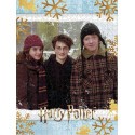 USAopoly Harry Potter puzzle Christmas at Hogwarts (550 pièces)